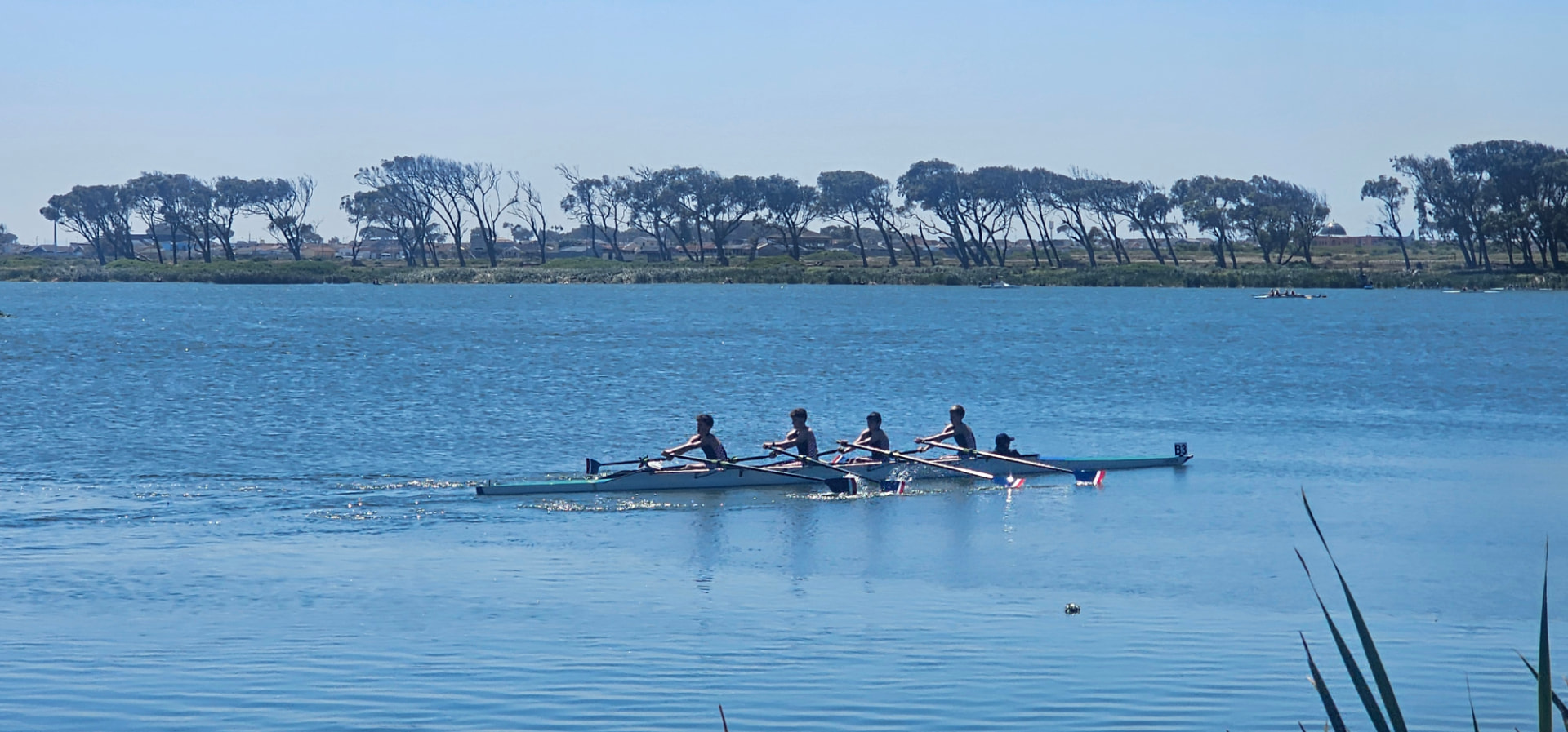 Somerset College rowing crews training on the water